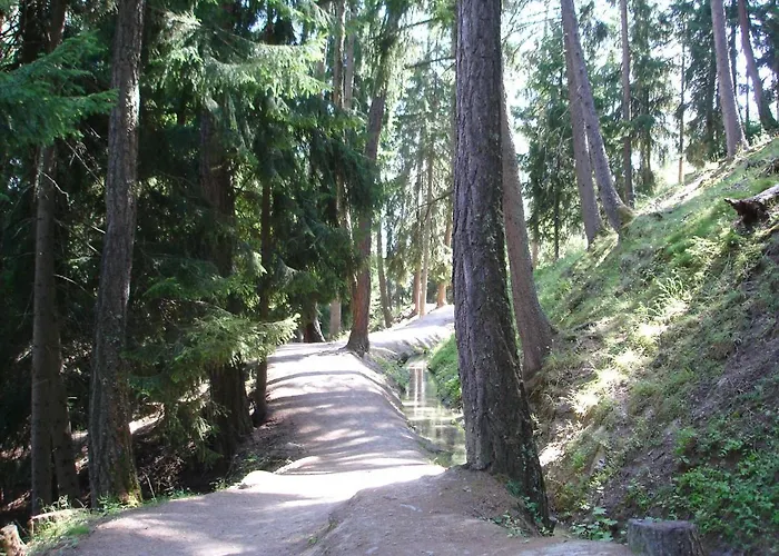 Greppons O 040 - Mountain 8 Pers Veysonnaz